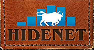 hidenet logo