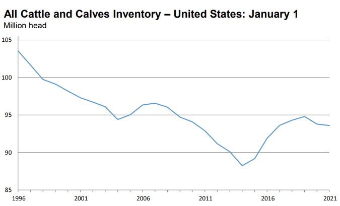 cattle inventory