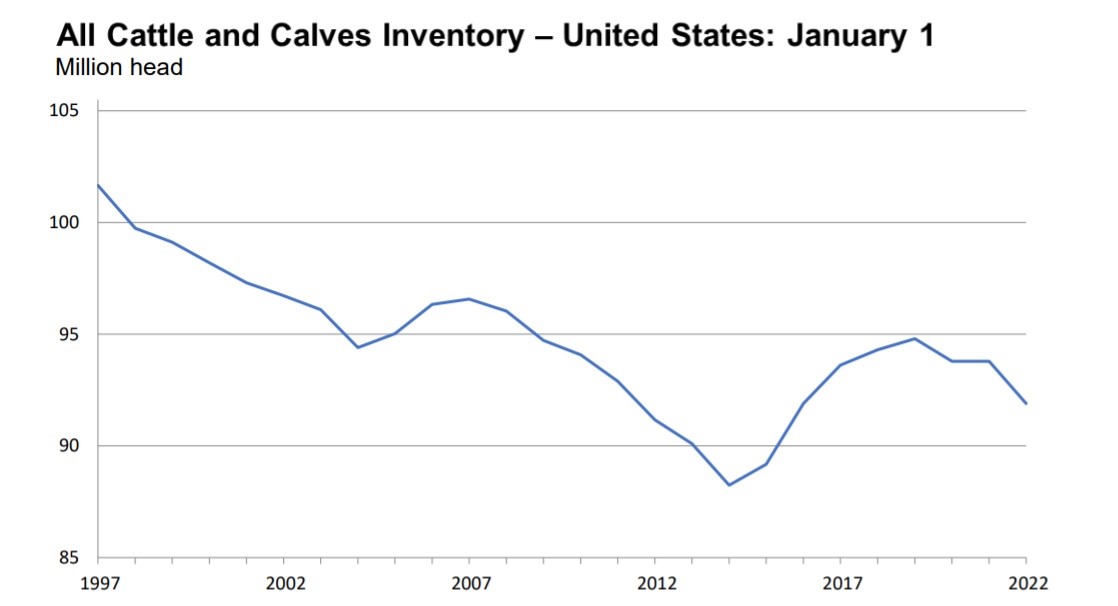 cattle inventory