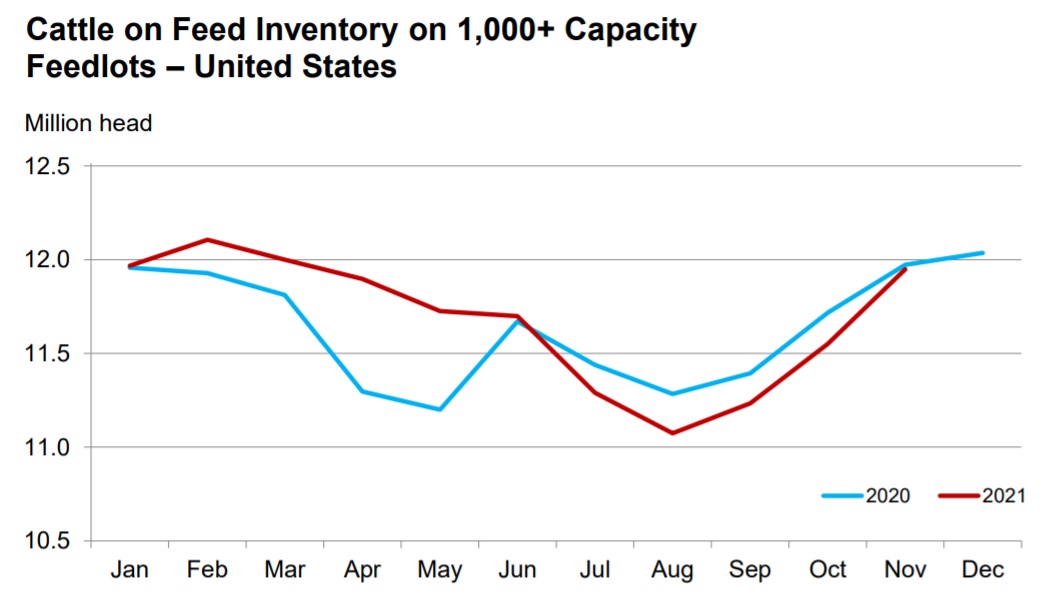 cattle_on_feed_november_2021