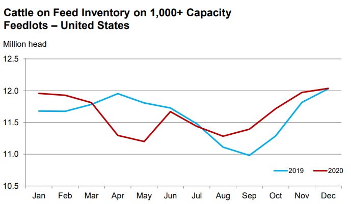 dec_2020_cattle_on_feed